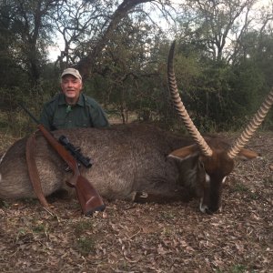 30 Inch Waterbuck Hunt Limpopo South Africa
