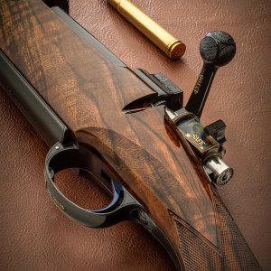 Westley Richards Rifle