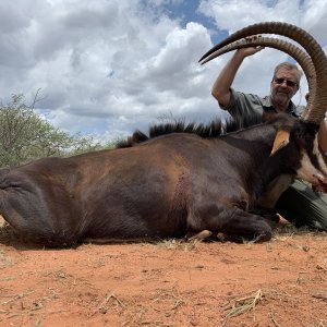 Sable Hunt South Africa