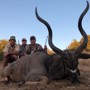 Kudu Hunting South Africa