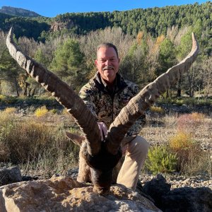 Ibex Hunting Beceite Spain