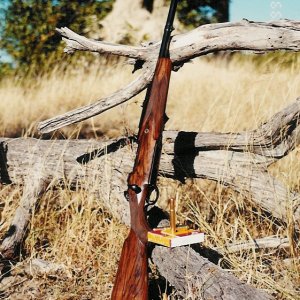 .450 Rigby Rifle
