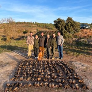 Partridge Hunting Spain