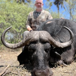 Buffalo Hunt Caprivi Namibia