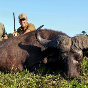 Cape Buffalo Hunting