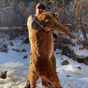 Mountain lion with handgun