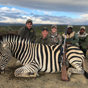 Zebra Hunting South Africa