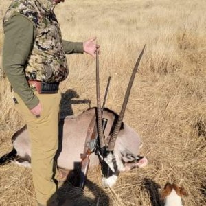 Namibia Gemsbok Hunt