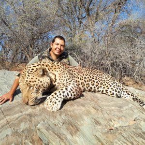 Leopard Hunting Namibia