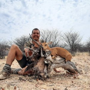 Steenbuck Hunting Namibia