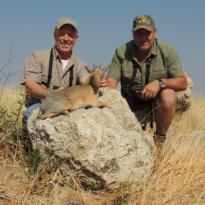 Dik-Dik Hunting Namibia