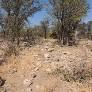 Leopard Blind Namibia