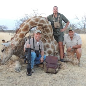 Giraffe Hunting Namibia