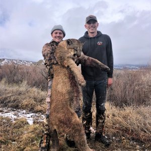 Colorado Lion Hunt