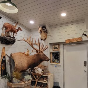 Trophy Room