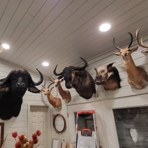 Trophy Room