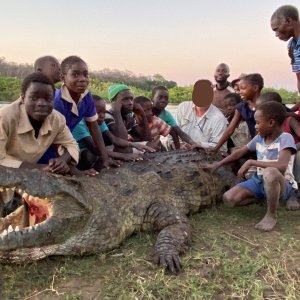 Crocodile Hunt Zimbabwe