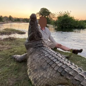 Crocodile Hunt Zimbabwe