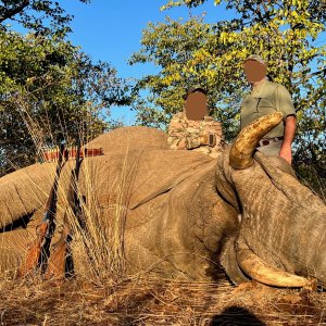 Elephant Hunt Zimbabwe