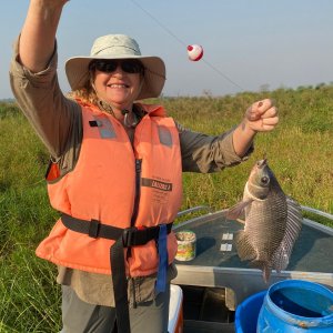 Tilapia Fishing Uganda