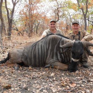 Nyasa Wildebeest Hunting Mozambique