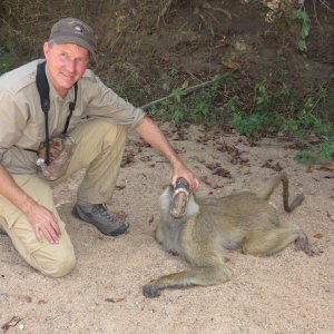 Baboon Hunting Mozambique