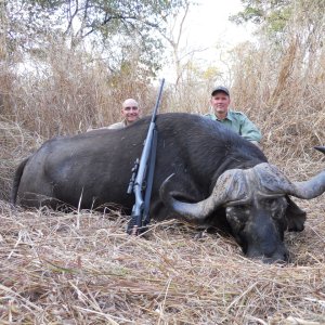 Buffalo Hunt Mozambique