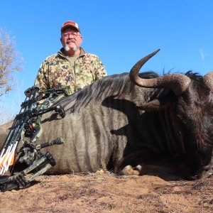 Blue Wildebeest Hunt South Africa