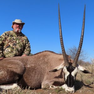 Gemsbok Hunt South Africa