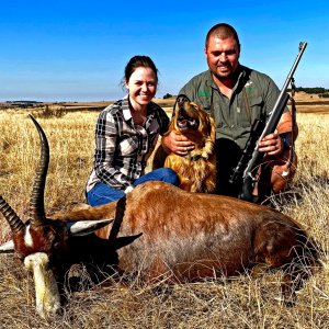 Blesbok Hunting South Africa