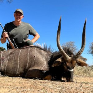 Nyala Hunt South Africa