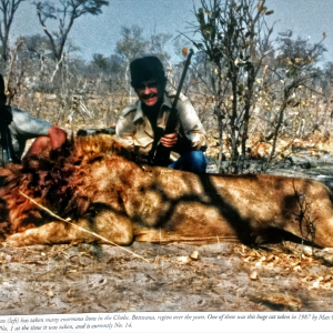 Lion Hunt Botswana