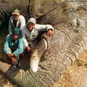 Nyae Nyae Conservancy- 115-pounder