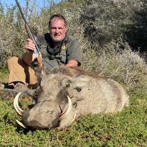 Warthog Hunting