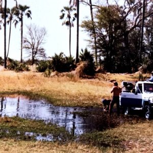 Cooling off at a pan in Chitabe-Okavango Delta, Botswana