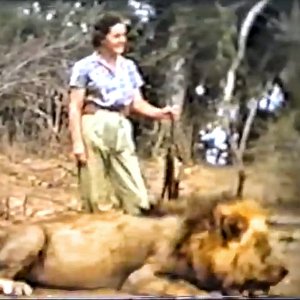 Client with her Rowland Ward record-book lion, guided by Harry Manners-Limpopo, Mozambique