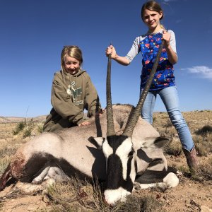Oryx Hunting New Mexico