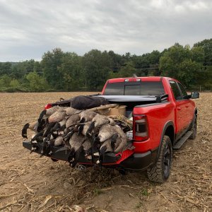 Canada Goose Hunting