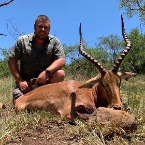 Impala Hunting Kwa Zulu Natal South Africa