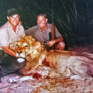 Lion Hunt Botswana