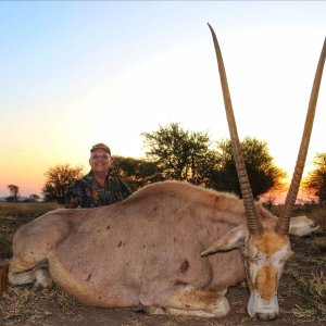 Golden Gemsbok Hunt South Africa