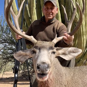 Mule Deer Hunt Sonora Mexico