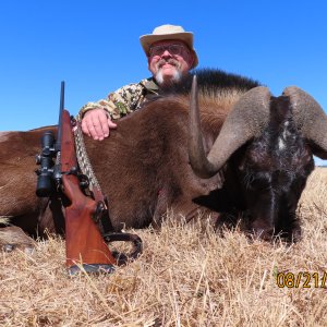 Black Wildebeest Hunt South Africa