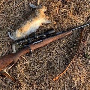 .275 Rigby Rifle