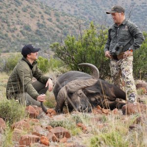 Buffalo Hunt South Africa