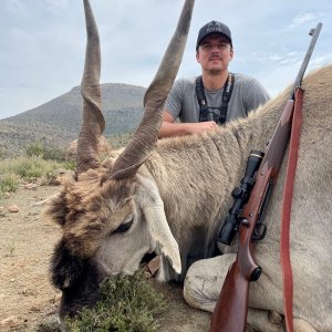 Eland Hunt South Africa