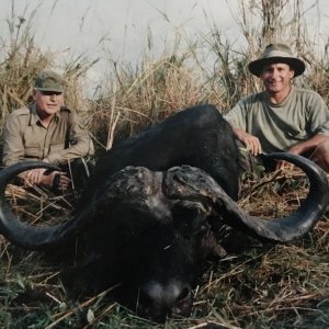 Cape Buffalo Hunting