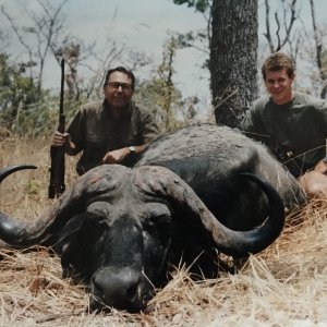 Cape Buffalo Hunting