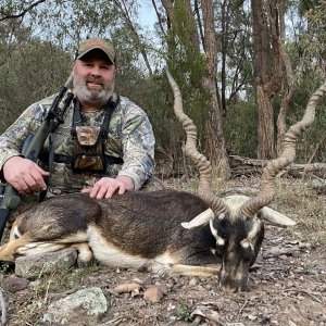 Black Buck Hunting