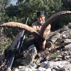 Beceite Ibex